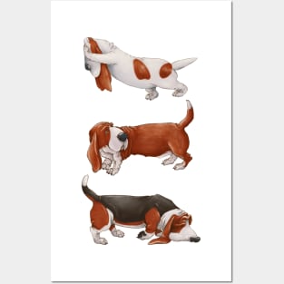 Cute Basset Hound. Funny dogs. Posters and Art